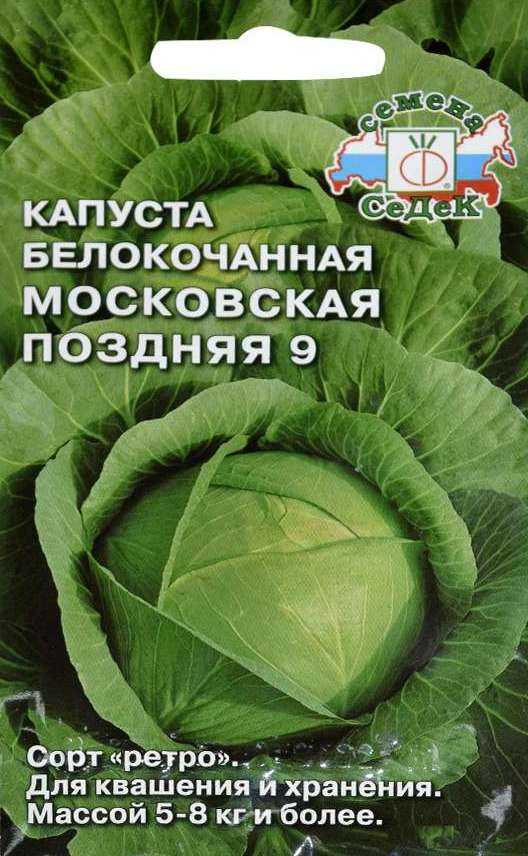 Сорт капусты московская поздняя: описание сорта, отзывы, фото
