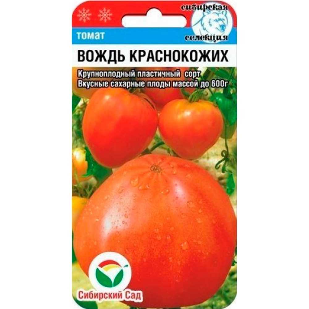 О Томате Вождь краснокожих описание сорта фото отзывы огородников представлены характеристики и показатели урожайности