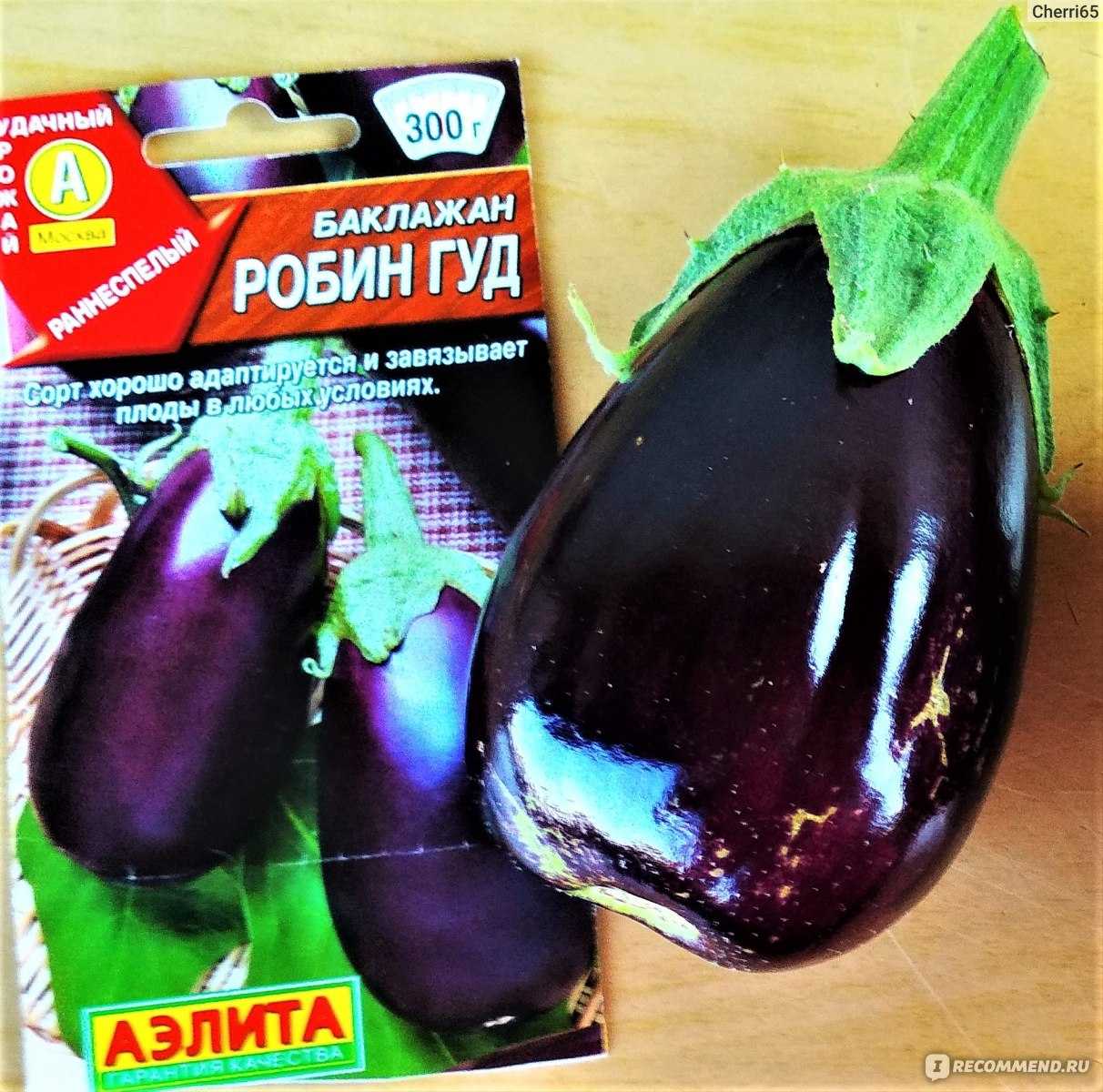 Баклажан робин гуд: описание сорта, фото, отзывы, урожайность, выращивание