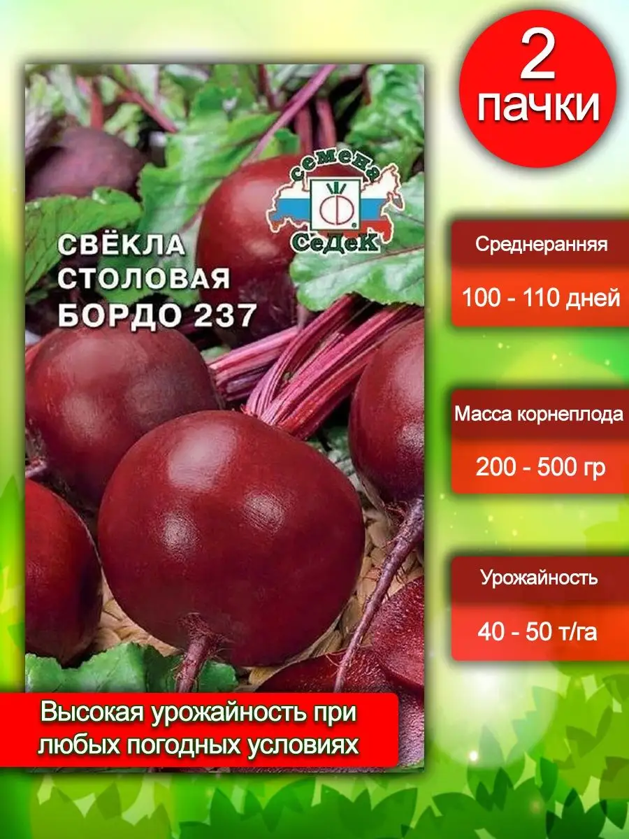 Лучшие сорта свеклы для россии