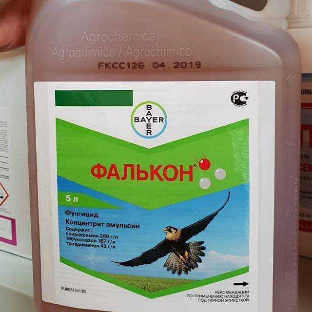 Фалькон от чего