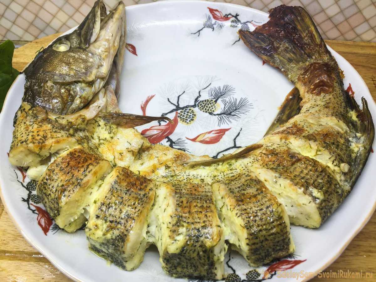 Щука в сметане: как приготовить рыбу в духовке и на сковороде