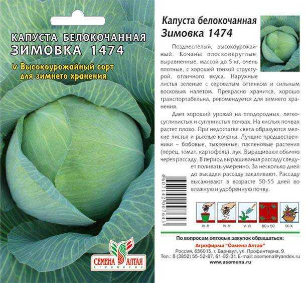 Капуста валентина: описание и характеристики сорта, фото, особенности выращивания и ухода