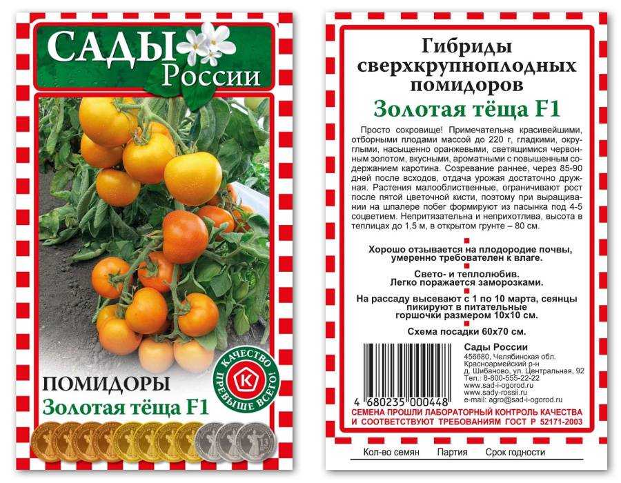 Томат Золотая теща характеристика и описание сорта урожайность фото и видео обзоры садоводов