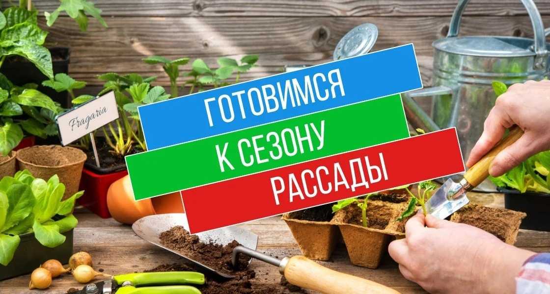 В этом мы расскажем о некоторых секретах и приёмах выращивания рассады овощных и декоративных культур Как правильно подготовить посадочные емкости и грунт для рассады Как и для чего обеспечивать дренаж в ёмкостях с рассадой