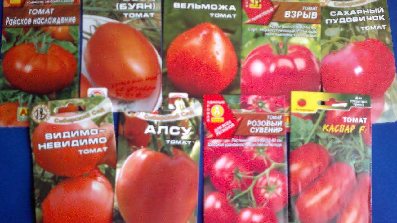 Томат нужный размер: описание сорта, отзывы, фото