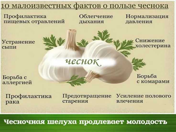 Метод чингисхана – уникальность рецепта, принцип действия, противопоказания и отзывы | rvdku.ru