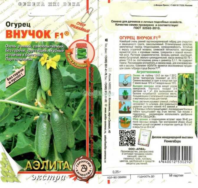 Топ-18 лучших сортов пучковых огурцов | +отзывы