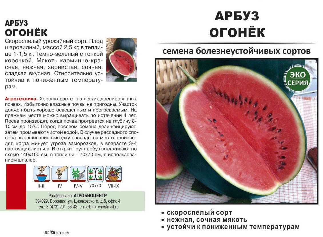 Арбуз сахарный малыш: обзор сорта, отзывы о нем, преимущества и недостатки, особенности выращивания