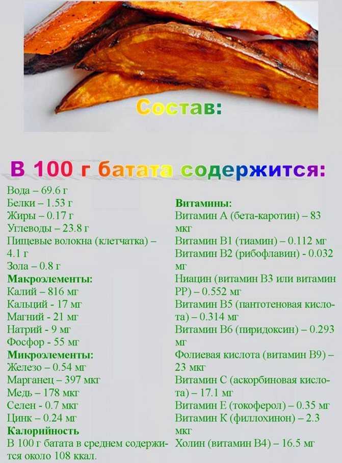 Ямс — африканская «бульба». выращивание, фото — ботаничка