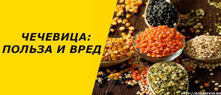 Как варить чечевицу: 18 вкусных рецептов для гарниров и супов - кулинарный сайт «молочная кухня»