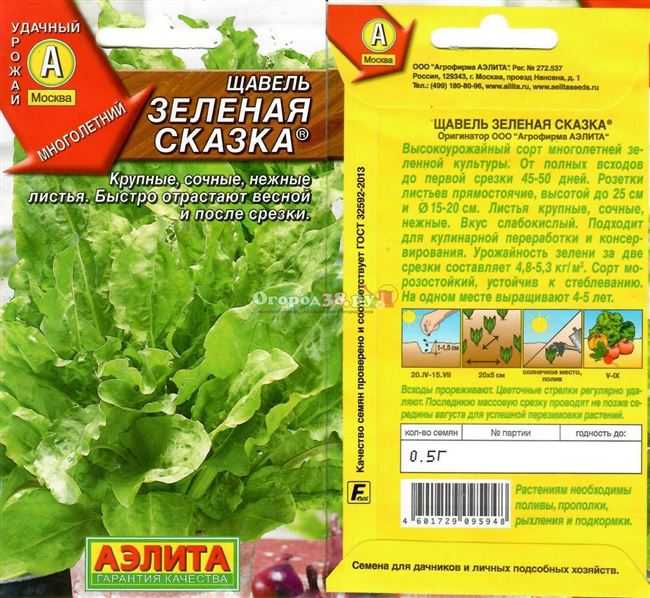 Выращивание щавеля: посадка и уход в открытом грунте – энциклопедия домовладельца
выращивание щавеля: посадка и уход в открытом грунте – энциклопедия домовладельца