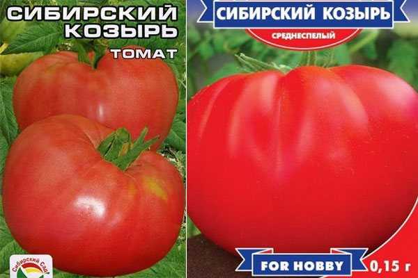 Томат сибирский козырь: характеристика и описание сорта с фото