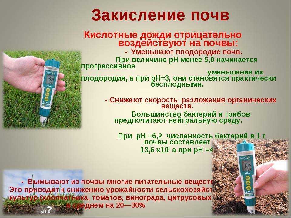 Весеннее раскисление почвы