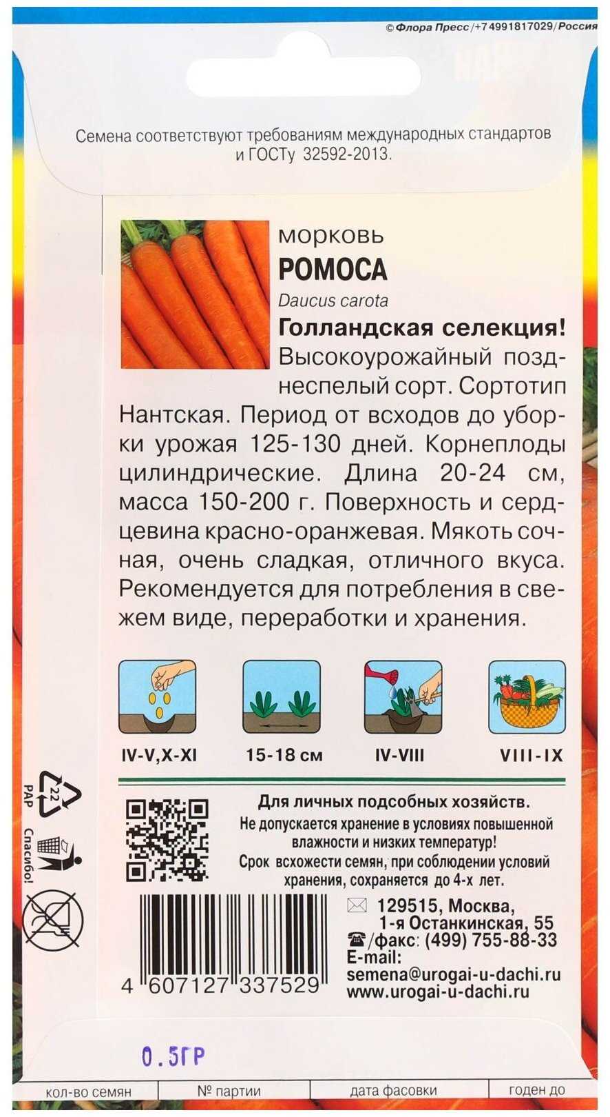 Лучшие сорта моркови