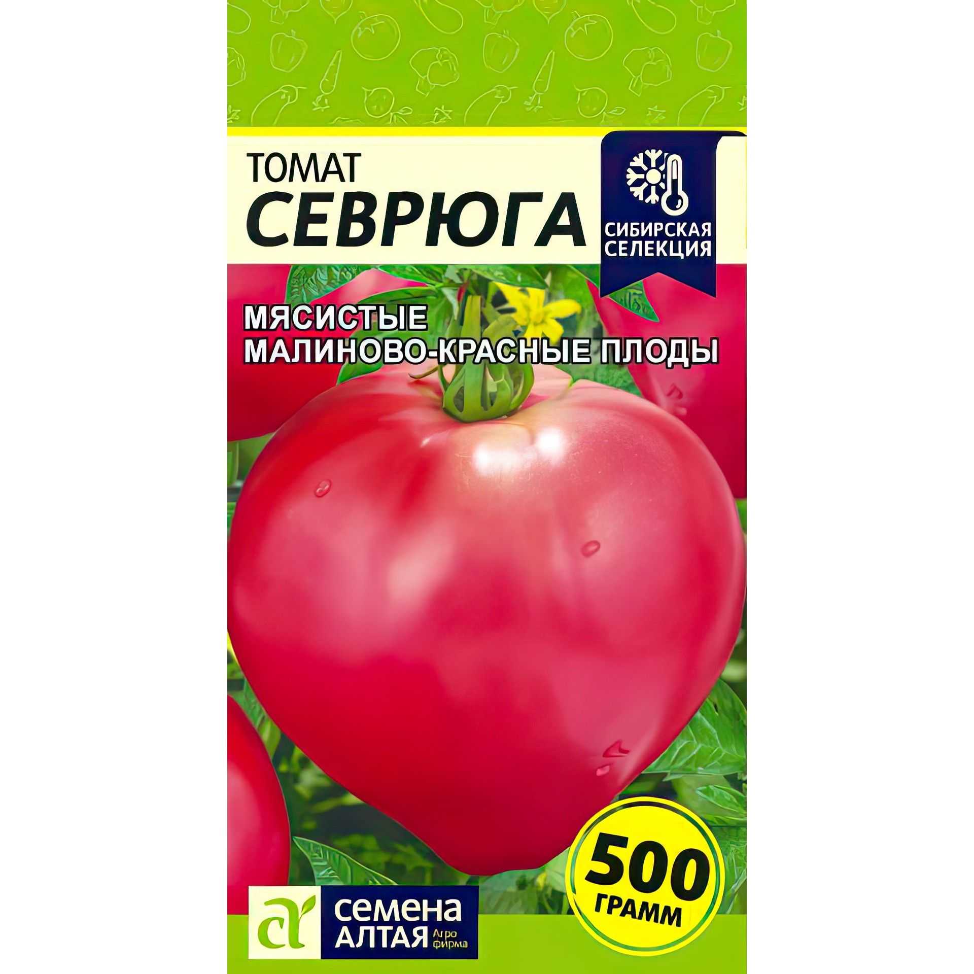 Томат севрюга (пудовик): характеристика и описание сорта, отзывы с фото