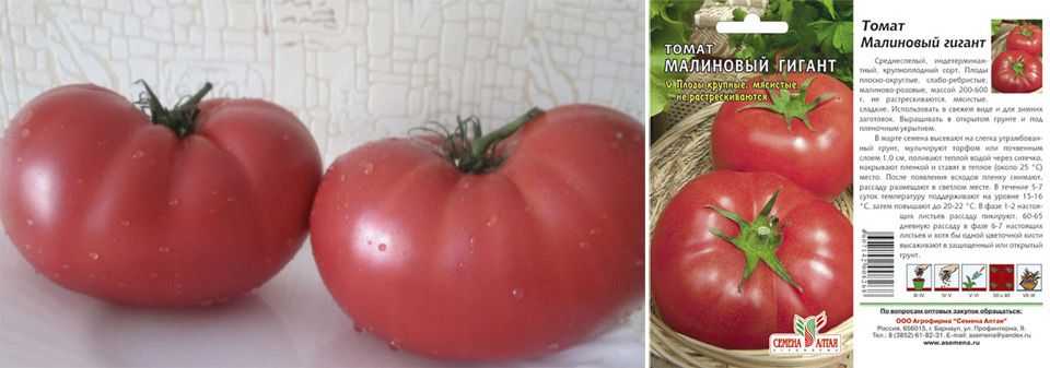Лучшие сорта томатов для длительного хранения без потери вкуса