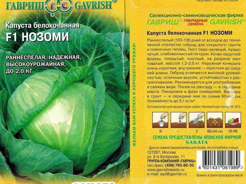 Капуста: 14 лучших сортов и гибридов для длительного хранения для сибири и урала