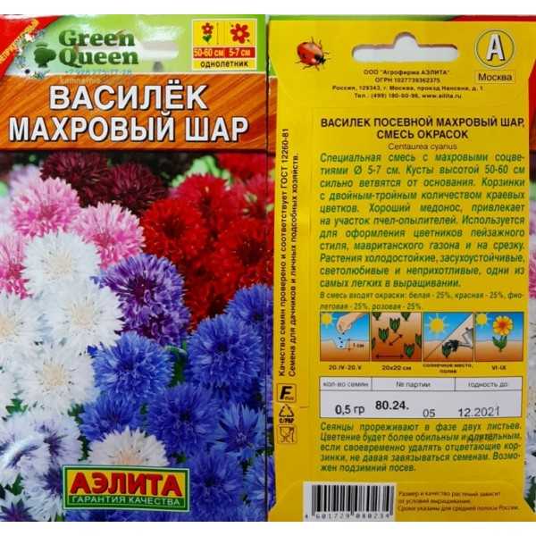 Выращивание васильков из семян, посадка васильков и уход в саду, размножение васильков делением