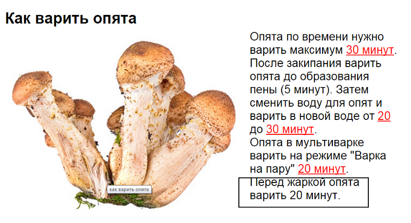 Как правильно чистить грибы – рекомендации по видам