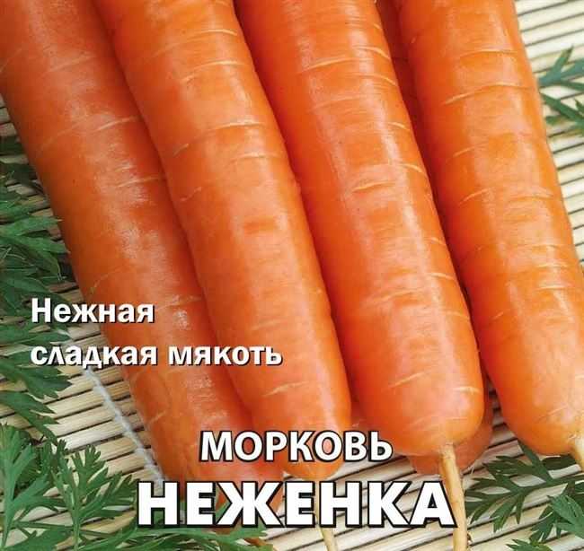 Лучшие ранние сорта моркови