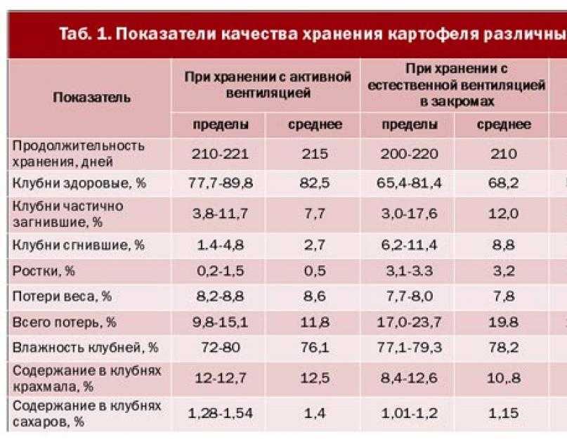 Как сохранить урожай картофеля до весны без потерь