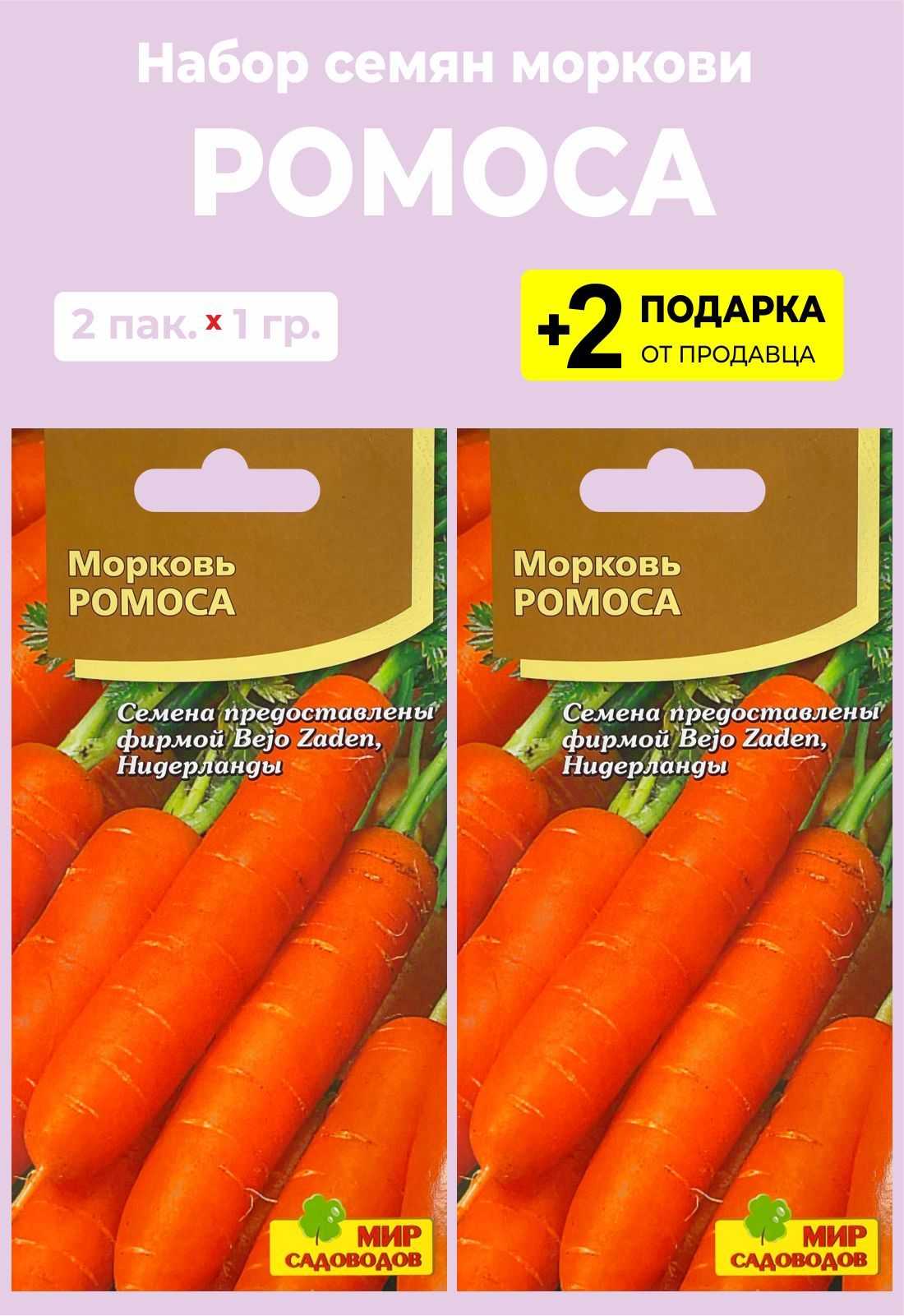 Ранние сорта моркови голландской селекции - огород-365