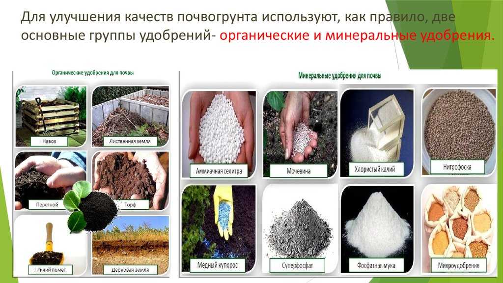 Минеральные удобрения: их виды и характеристика — fertilizer daily