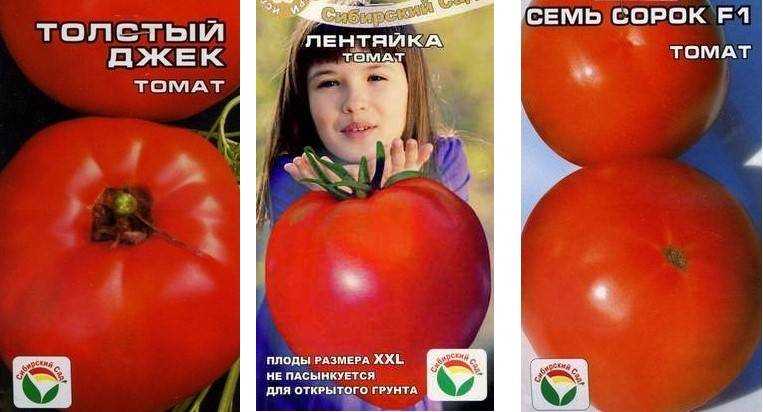 Томат лентяйка: описание сорта, фото, отзывы, характеристика