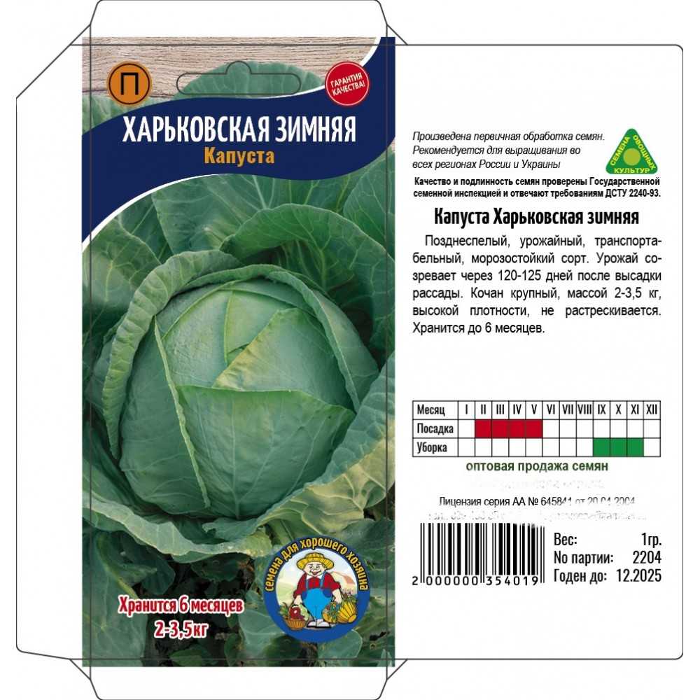 Лучшие 15 сортов поздней капусты для хранения на зиму и правила выращивания