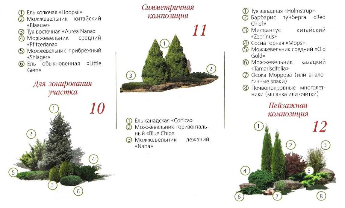 Миксбордеры из многолетников: лучшие схемы и правила создания