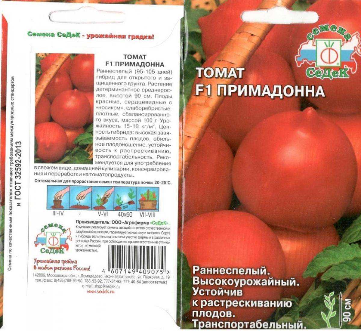 Характеристика сорта томатов «примадонна», описание помидоров