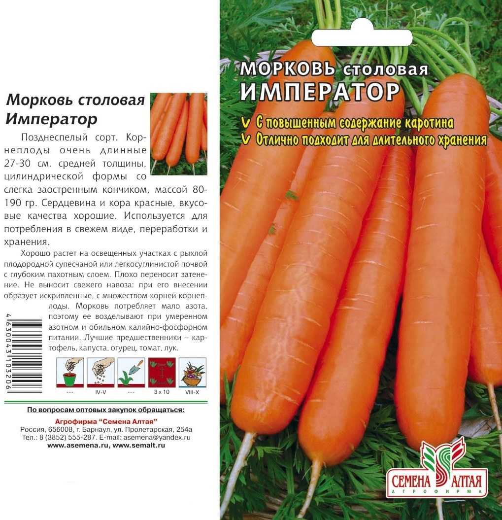 Сорт моркови император фото отзывы