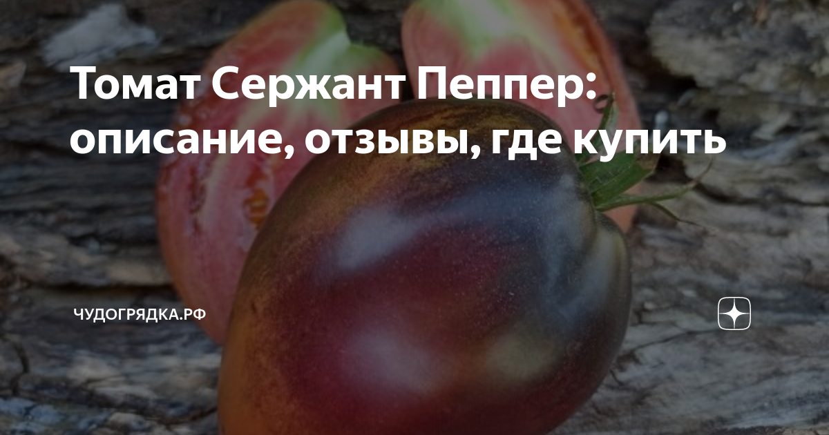 Лучшие семена болгарского перца – рейтинг 2024 года – топ-12