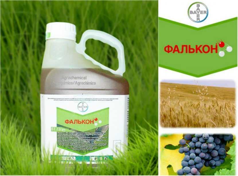 Фунгицид фалькон