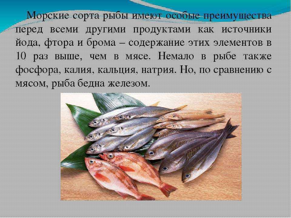 Икра мойвы: польза, выбор, хранение, добыча, рецепты