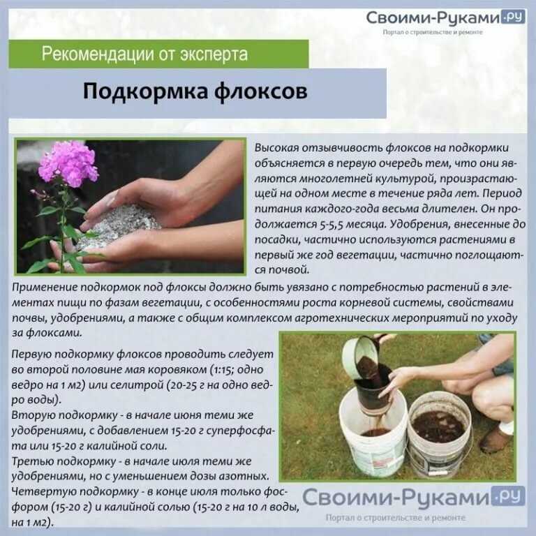 Коикс предпочитает легкую богатую органикой почву Теплое без сквозняков месторасположение в достаточной мере освещенное солнцем Недостаток освещения резко снижает цветение