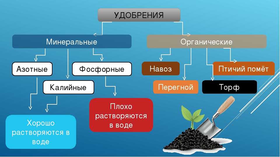 Минеральные удобрения (3 основных группы): виды, классификация, характеристика и применение