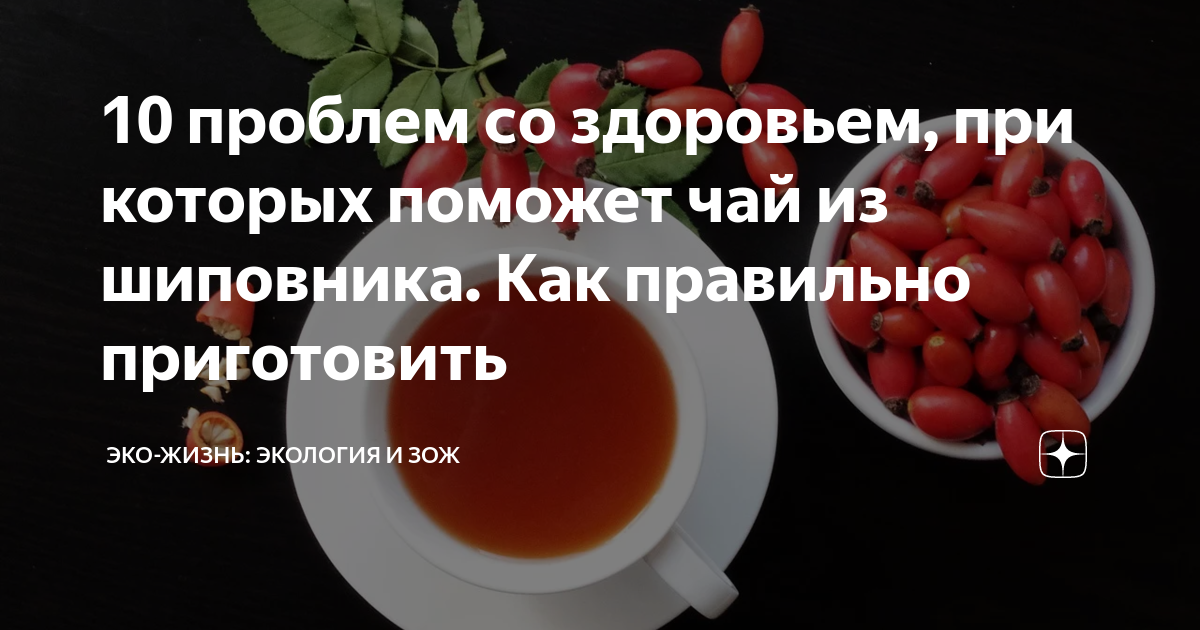 Как заваривать шиповник — 9 правильных рецептов, как приготовить полезный отвар шиповника