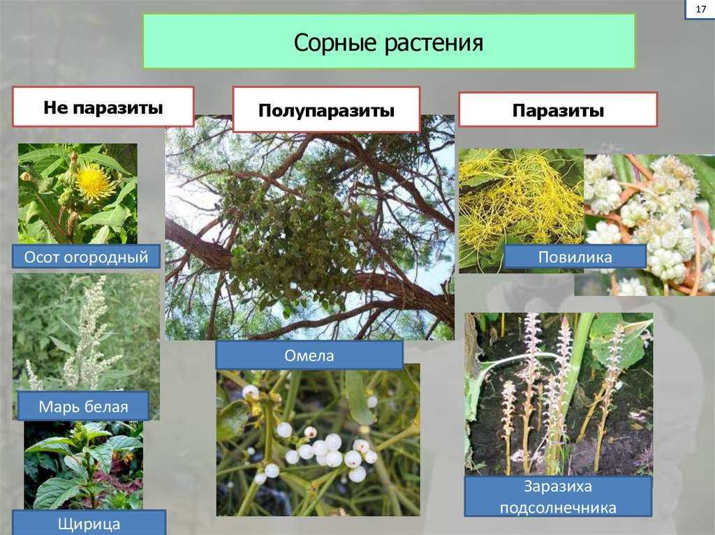 Позаботьтесь о своем здоровье весной