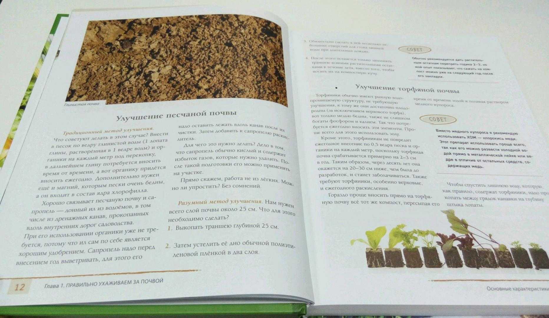 Огород без хлопот для пожилых и ленивых: не копать, не полоть, и не поливать