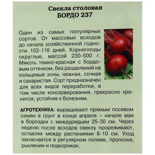 Свёкла — полезные свойства, сортотипы, лучшие сорта
