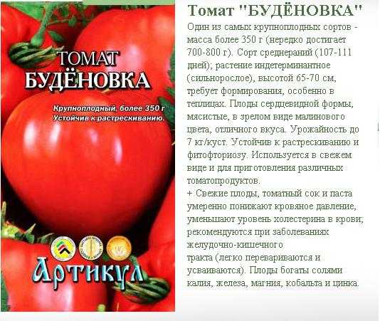 Томат буденовка
