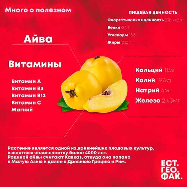 Айва японская: фото и описание кустарника, посадка и уход за растением
