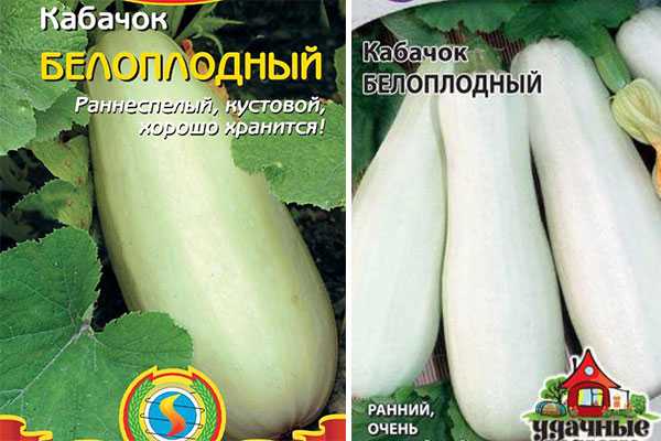 Самоопыляемые кабачки - домоводство - 10 марта - медиаплатформа миртесен