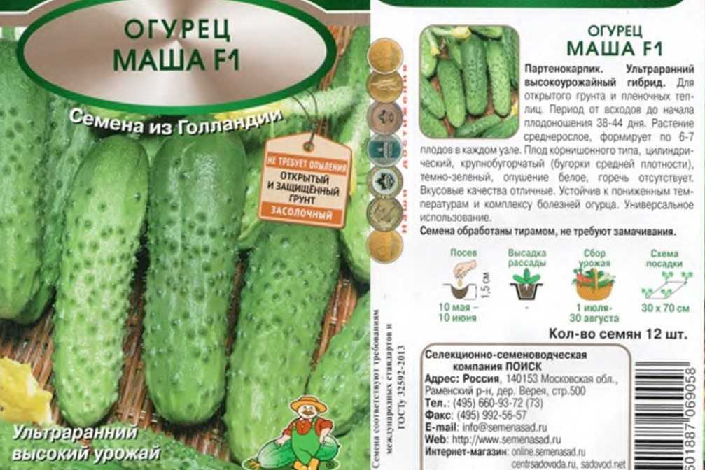 Характеристика и описание сорта огурца Мария f1 отзывы фото урожайность его достоинства и недостатки