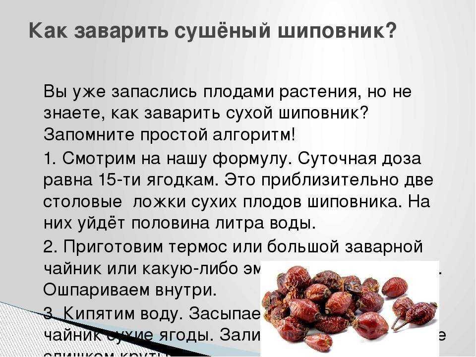 Вкусный и полезный чай из шиповника можно приготовить за 30 минут при наличии сушеных плодов напиток создается именно из них В основном его пьют в прохладное