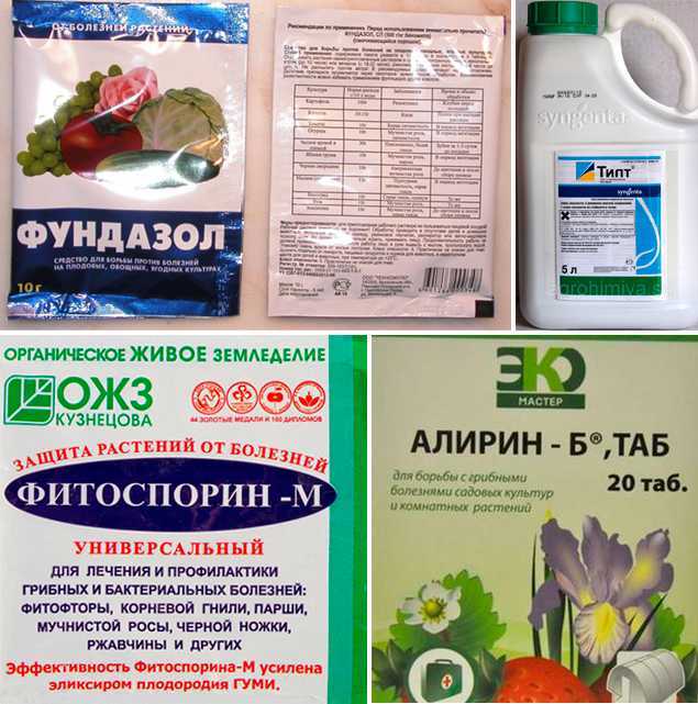 ​покупка растений и их акклиматизация