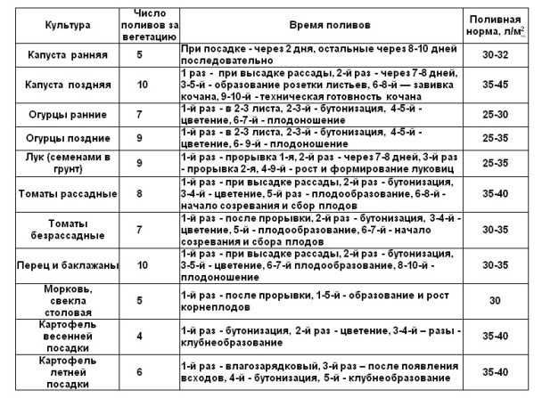 Когда прекращать поливать лук | самоделки на все случаи жизни - notperfect.ru