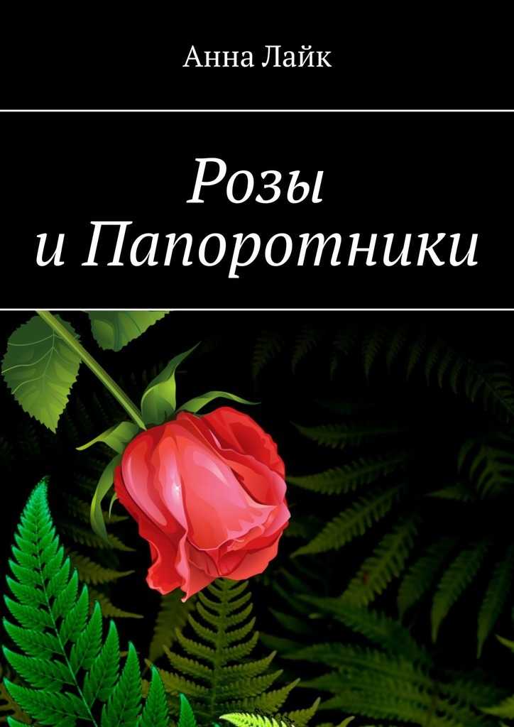 Комнатный папоротник — грамотный уход в домашних условиях – уход за растениями